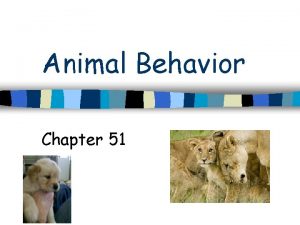 Animal Behavior Chapter 51 Behavior n Animal responds