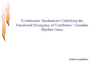 Evolutionary Mechanisms Underlying the Functional Divergence of Vertebrates