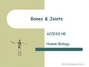 Bones Joints ACCESS HE Human Biology Clare HargreavesNorris