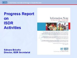 Progress Report on ISDR Activities Slvano Briceo Director