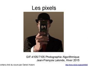 Les pixels GIF41057105 Photographie Algorithmique JeanFranois Lalonde Hiver