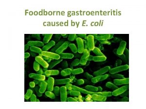 Foodborne gastroenteritis caused by E coli E coli