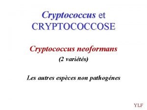 Cryptococcus et CRYPTOCOCCOSE Cryptococcus neoformans 2 varits Les