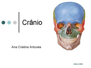 Crnio Ana Cristina Antunes Netter 2003 Generalidades Srie