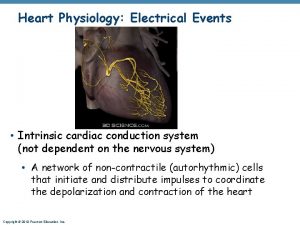 Heart Physiology Electrical Events Intrinsic cardiac conduction system