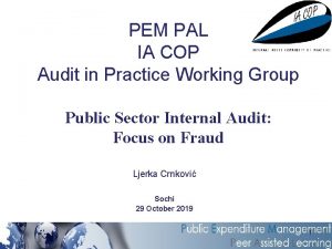 PEM PAL IA COP Audit in Practice Working