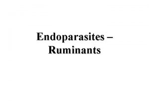 Endoparasites Ruminants Goals and Objectives Understand the influence