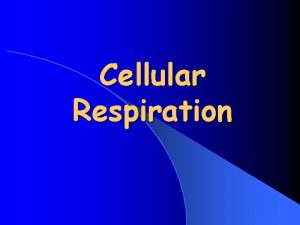 Cellular Respiration Cellular Respiration All living things need