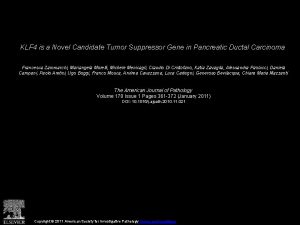 KLF 4 is a Novel Candidate Tumor Suppressor