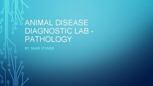 ANIMAL DISEASE DIAGNOSTIC LAB PATHOLOGY BY SADIE STOVER