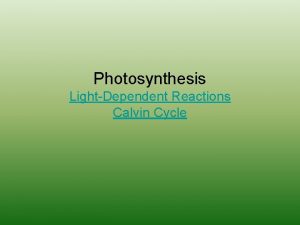 Photosynthesis LightDependent Reactions Calvin Cycle Fig 10 2