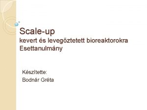 Scaleup kevert s levegztetett bioreaktorokra Esettanulmny Ksztette Bodnr