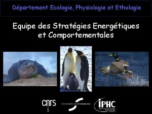 Dpartement Ecologie Physiologie et Ethologie Equipe des Stratgies