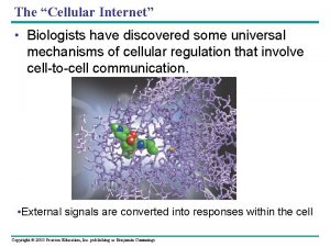 The Cellular Internet Biologists have discovered some universal