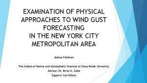 EXAMINATION OF PHYSICAL APPROACHES TO WIND GUST FORECASTING