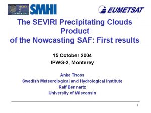 The SEVIRI Precipitating Clouds Product of the Nowcasting