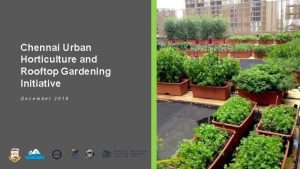 Chennai Urban Horticulture and Rooftop Gardening Initiative December