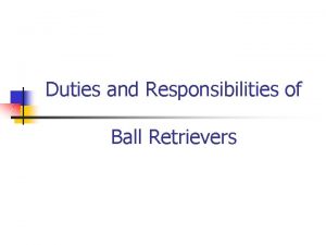 Duties and Responsibilities of Ball Retrievers Retriever Duties