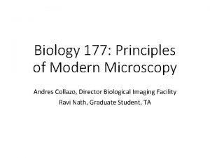 Biology 177 Principles of Modern Microscopy Andres Collazo
