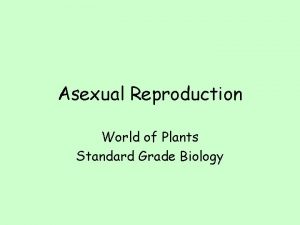 Asexual Reproduction World of Plants Standard Grade Biology