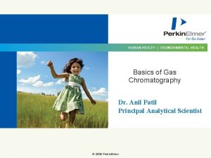 Basics of Gas Chromatography Dr Anil Patil Principal
