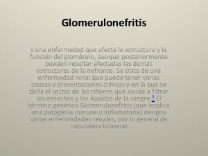 Glomerulonefritis s una enfermedad que afecta la estructura