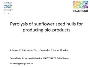 Pyrolysis of sunflower seed hulls for producing bioproducts