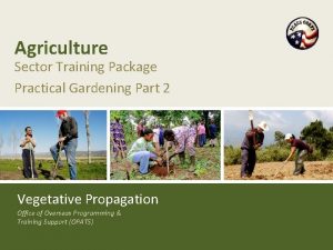 Agriculture Sector Training Package Practical Gardening Part 2