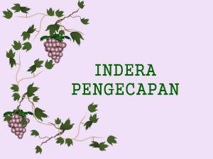 INDERA PENGECAPAN v Sensorsensor pucuk pengecapan untuk 5