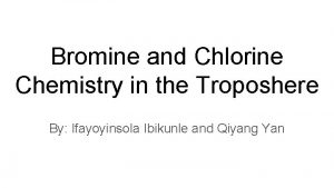 Bromine and Chlorine Chemistry in the Troposhere By