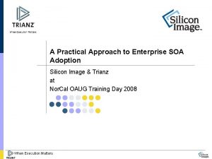A Practical Approach to Enterprise SOA Adoption Silicon