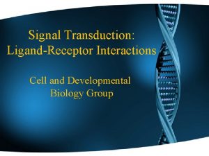 Signal Transduction LigandReceptor Interactions Cell and Developmental Biology