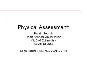 Physical Assessment Breath Sounds Heart Sounds Apical Pulse