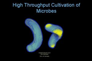 High Throughput Cultivation of Microbes Daniella Nicastro and