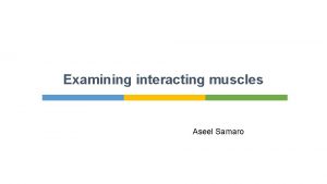Examining interacting muscles Aseel Samaro Examining interacting muscles