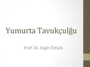 Yumurta Tavukulu Prof Dr Ergin ztrk Trkiyede tavukuluk