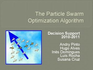 The Particle Swarm Optimization Algorithm Decision Support 2010