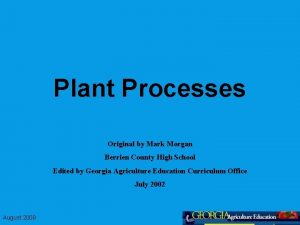 Plant Processes Original by Mark Morgan Berrien County