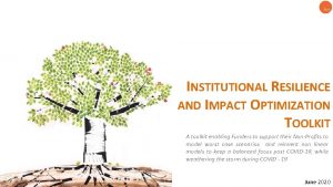 INSTITUTIONAL RESILIENCE AND IMPACT OPTIMIZATION TOOLKIT A toolkit