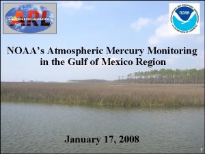 NOAAs Atmospheric Mercury Monitoring in the Gulf of