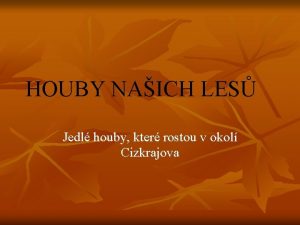 HOUBY NAICH LES Jedl houby kter rostou v