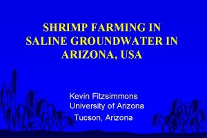 Arizona shrimp farm