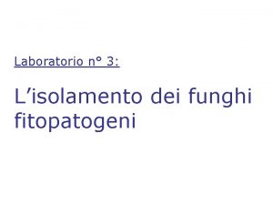 Laboratorio n 3 Lisolamento dei funghi fitopatogeni Indice