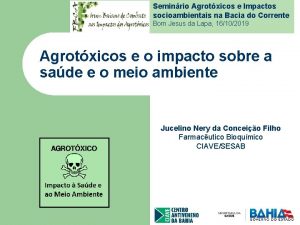 Seminrio Agrotxicos e Impactos socioambientais na Bacia do