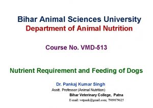 Bihar Animal Sciences University Department of Animal Nutrition