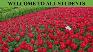 WELCOME TO ALL STUDENTS Teacher Identification MD Aowalul