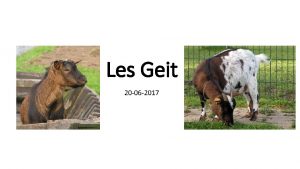 Les Geit 20 06 2017 Wat gaan we