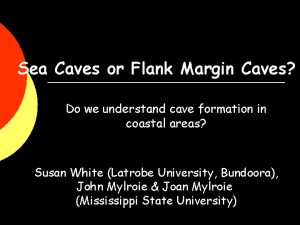 Sea Caves or Flank Margin Caves Do we