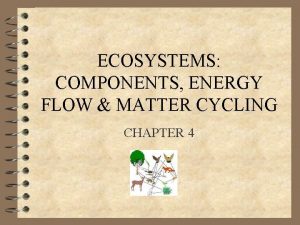 ECOSYSTEMS COMPONENTS ENERGY FLOW MATTER CYCLING CHAPTER 4