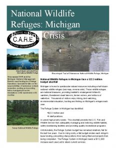 National Wildlife Refuges Michigan Funding Crisis Airport Marsh